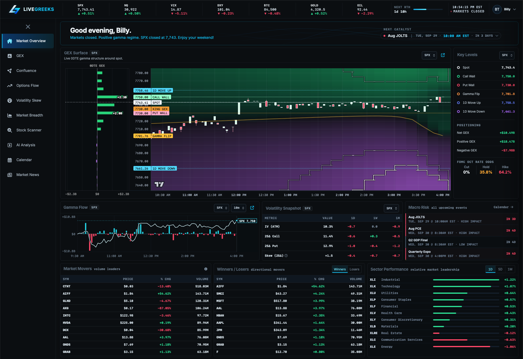 Preview of the LiveGreeks market dashboard